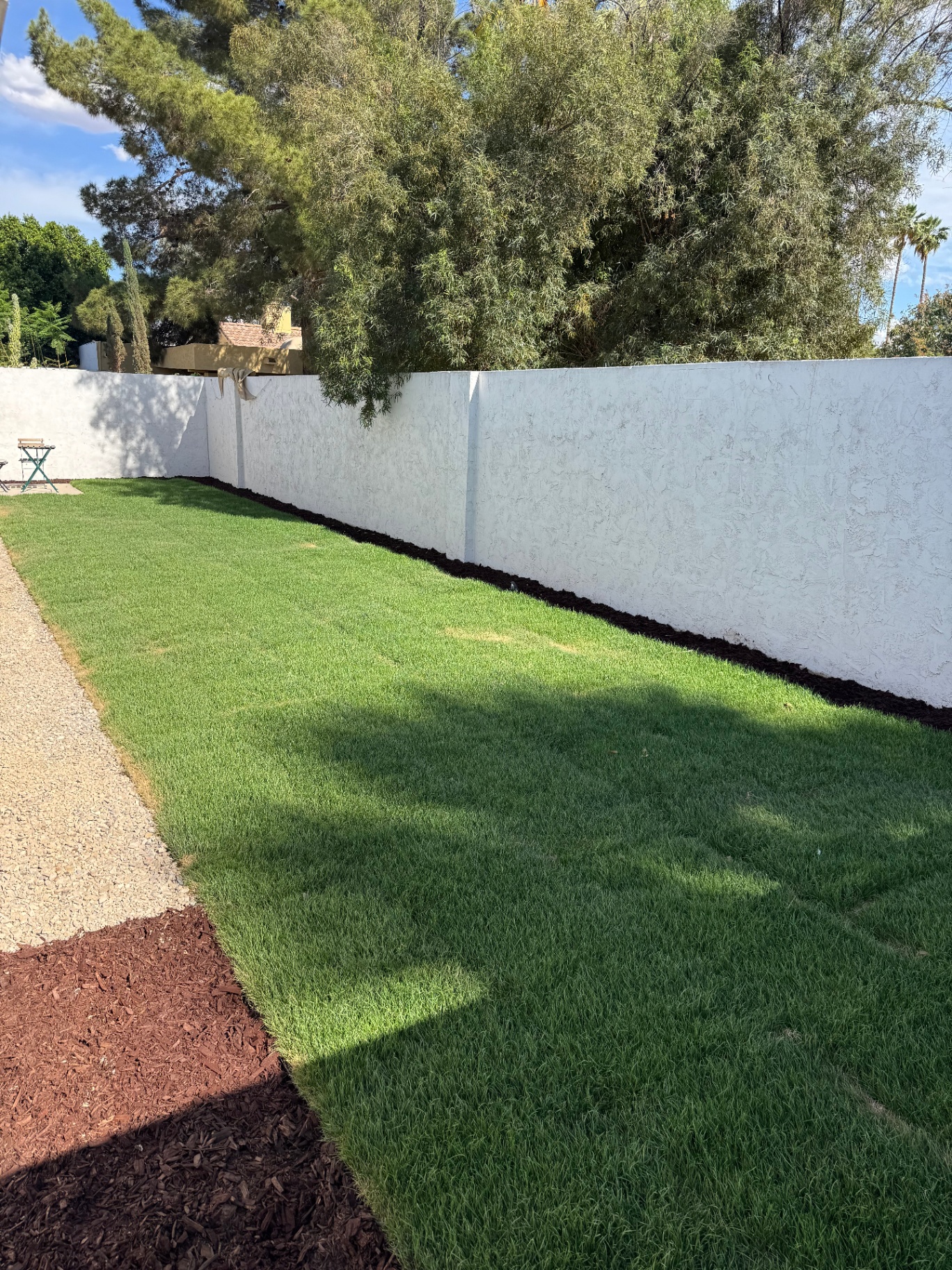 Reworked grass backyard with new sod and irrigation along the walled perimeter at 3037 E Clarendon Ave