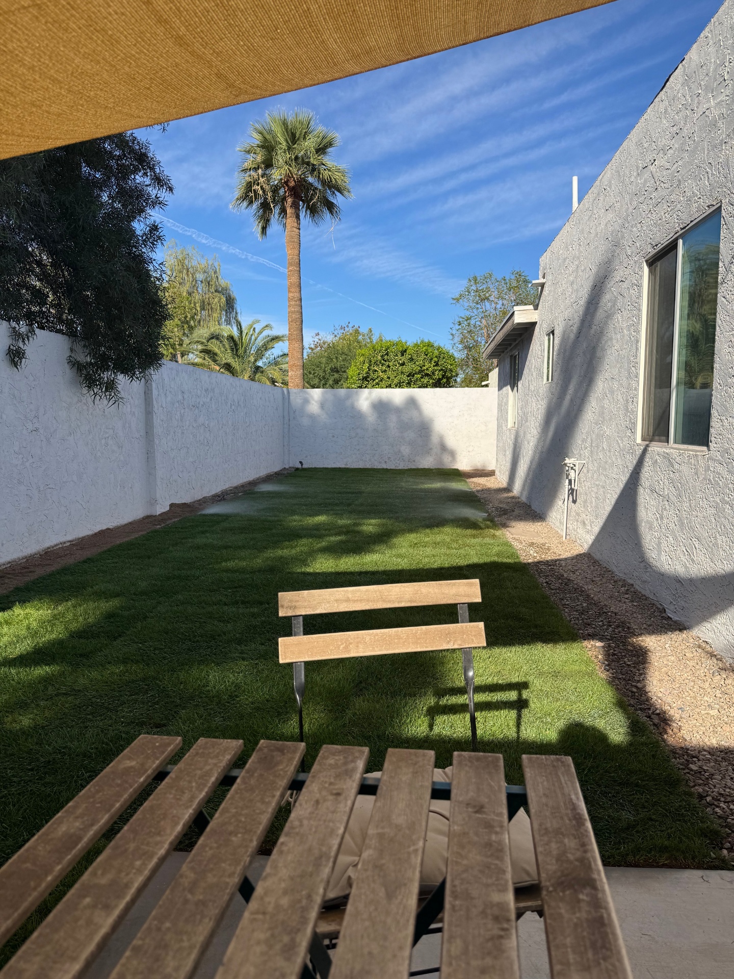 Grass backyard with irrigation at 3037 E Clarendon Ave